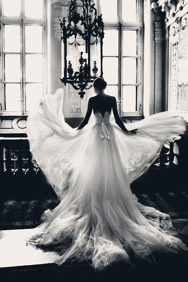incredible photo of wedding dress