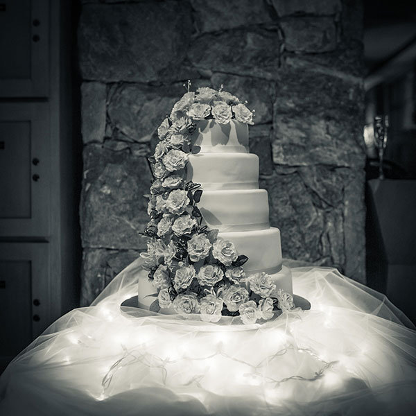 wedding cake on tulle and twinkle lights