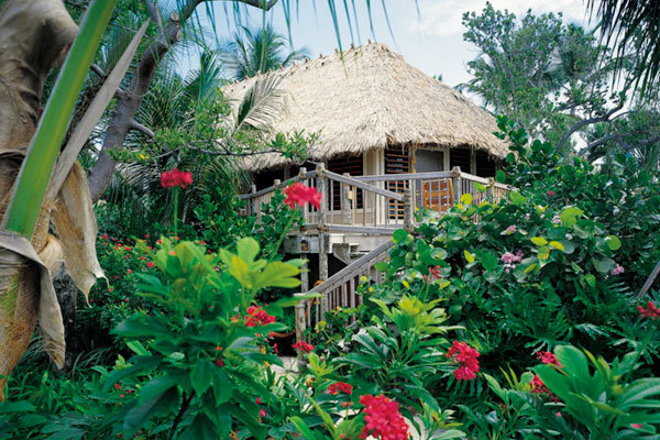 bungalow on little palm island 