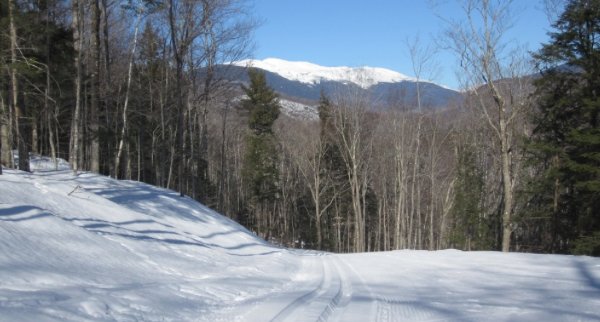 jackson cross country skiing 