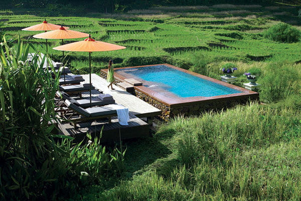 pool at the four seasons chiang mai 