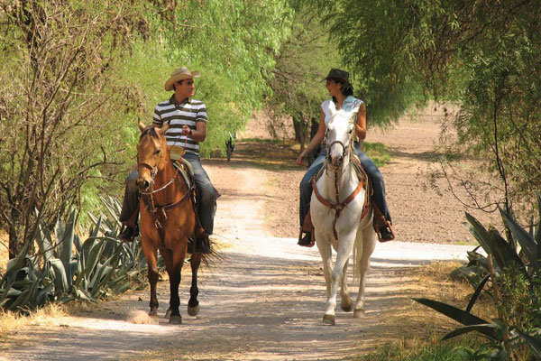 horseback riding