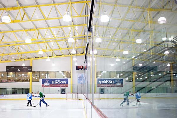 hockey theme engagement photos