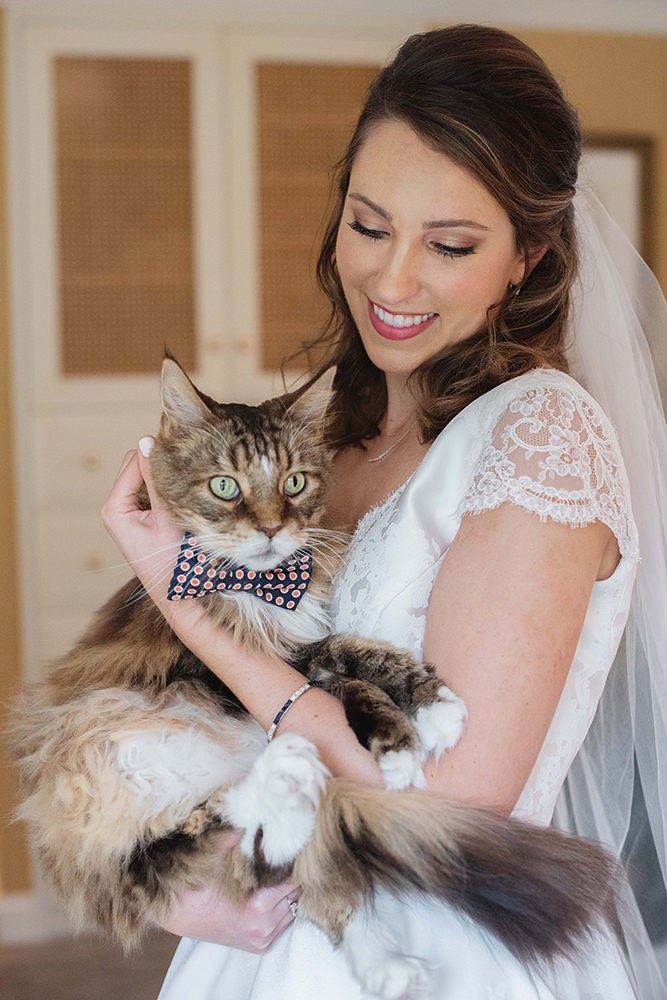 cat and bride