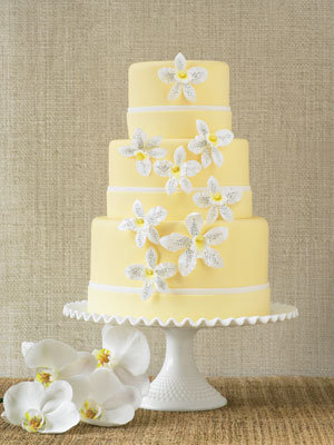 Naima DiFranco Photographs by Luciana Pampalone yellow wedding cake Naima DiFranco Photographs by Luciana Pampalone yellow wedding cake