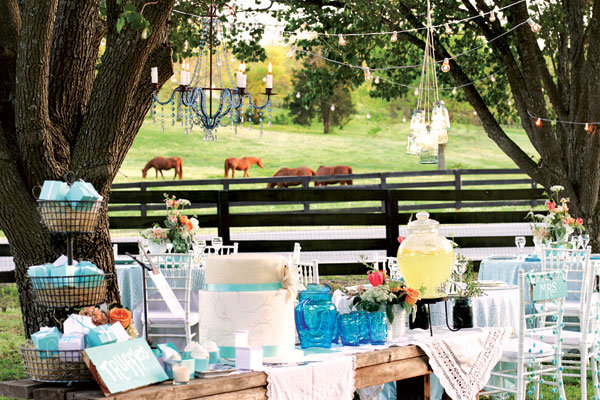 wedding on a pasture