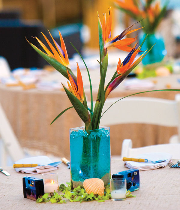 Types of Flowers Birds of paradise set in blue crystal gel accented with 