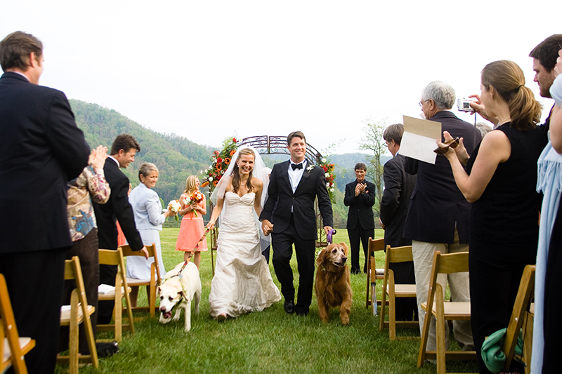 bride and groom with dogs