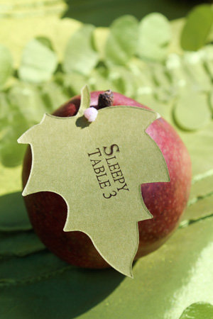 apple place cards