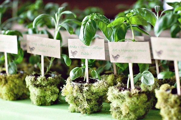 moss wedding favors