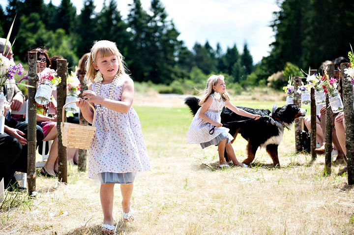 dog in wedding