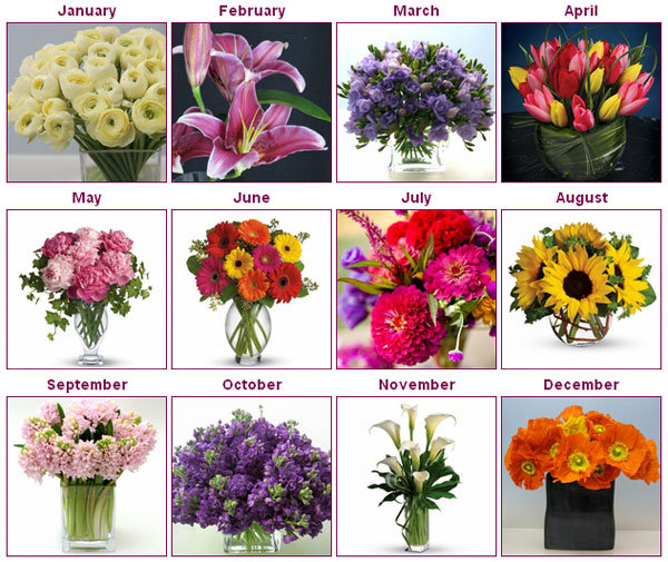 Wedding flowers guide