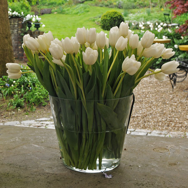 diy tulip centerpiece