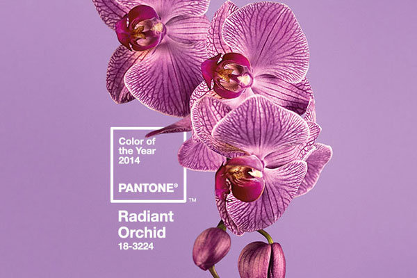 pantone radiant orchid