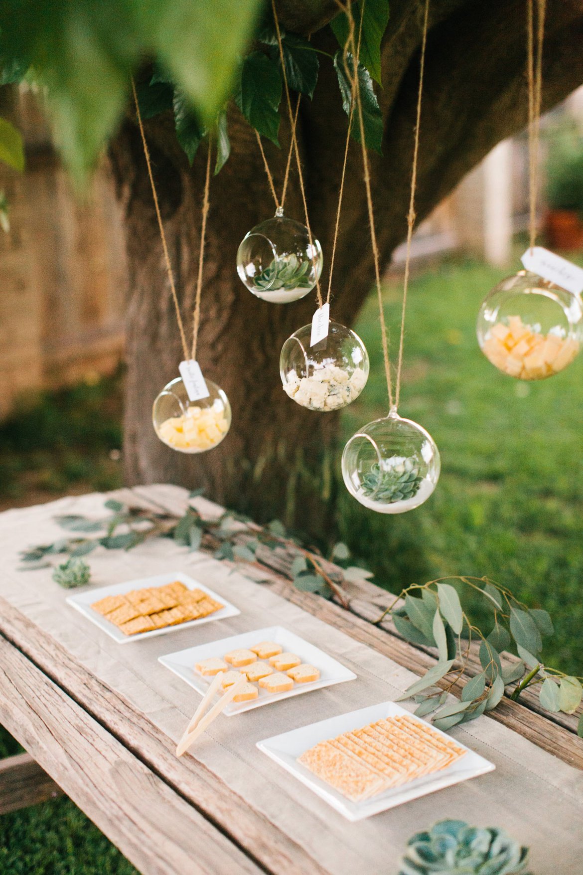 hanging terrariums food display