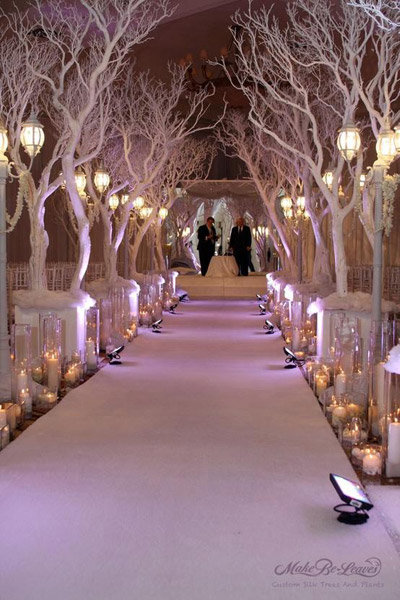 ballroom tree winter wedding 