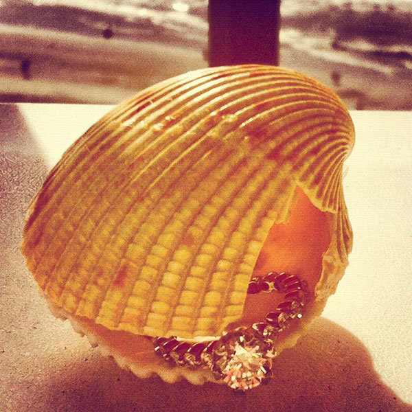 seashell proposal