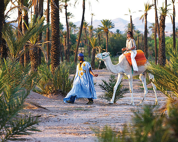camel ride in morocco
