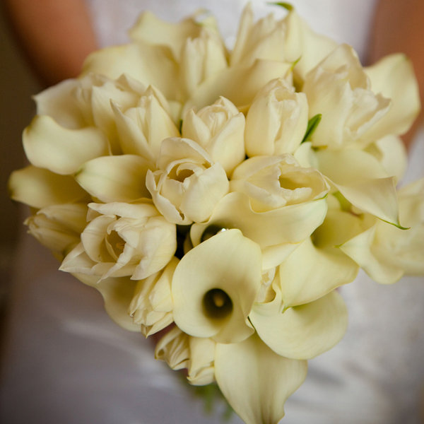 calla lilies