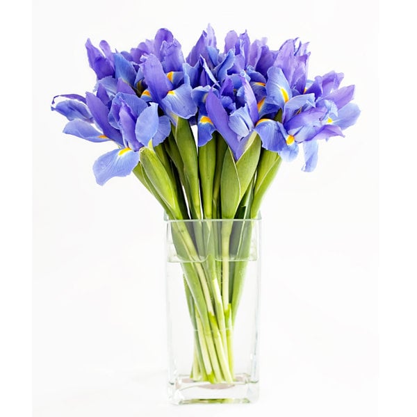 Flowers in Season November BridalGuide