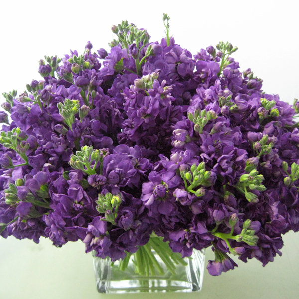 Flowers available in september for weddings