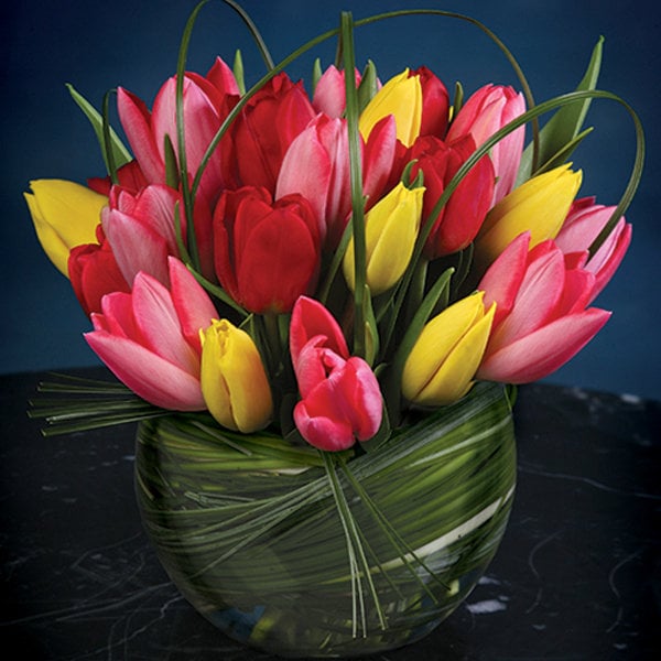 tulips