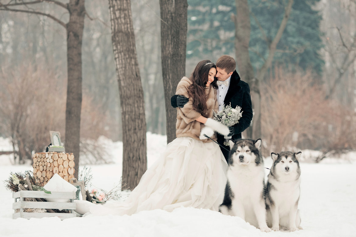 50 Stunning Winter Wedding Photos | BridalGuide