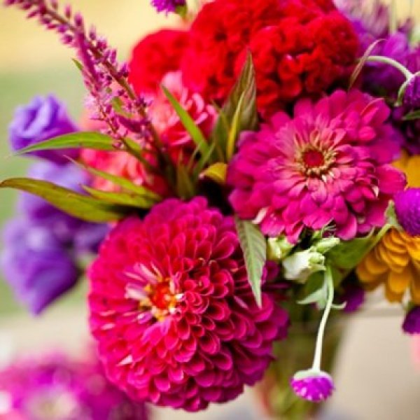 Flowers in Season: May  BridalGuide