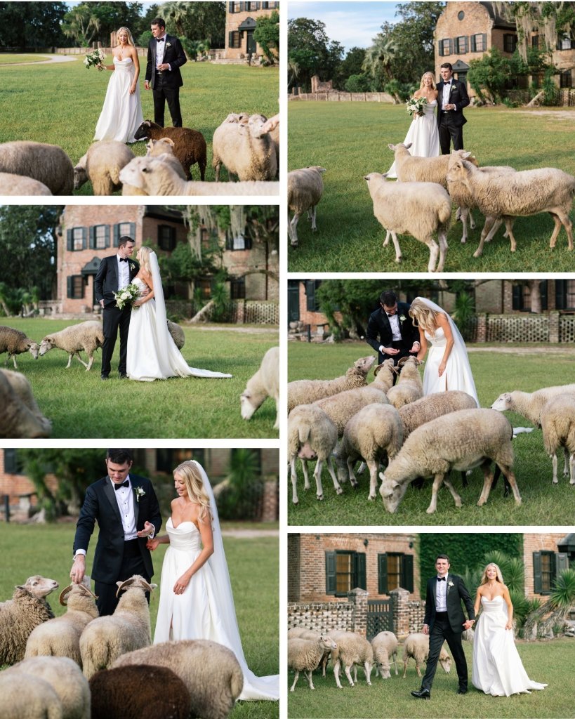 charleston real wedding