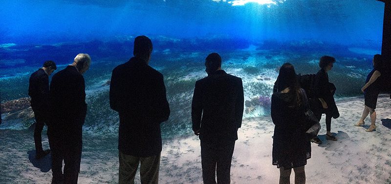 National Geographic Encounter Ocean Odyssey