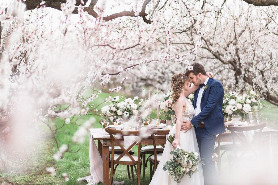 Cherry blossom wedding photo