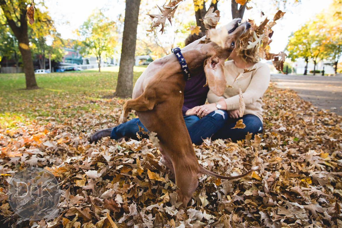 dog photobombing couples engagement photo shoot