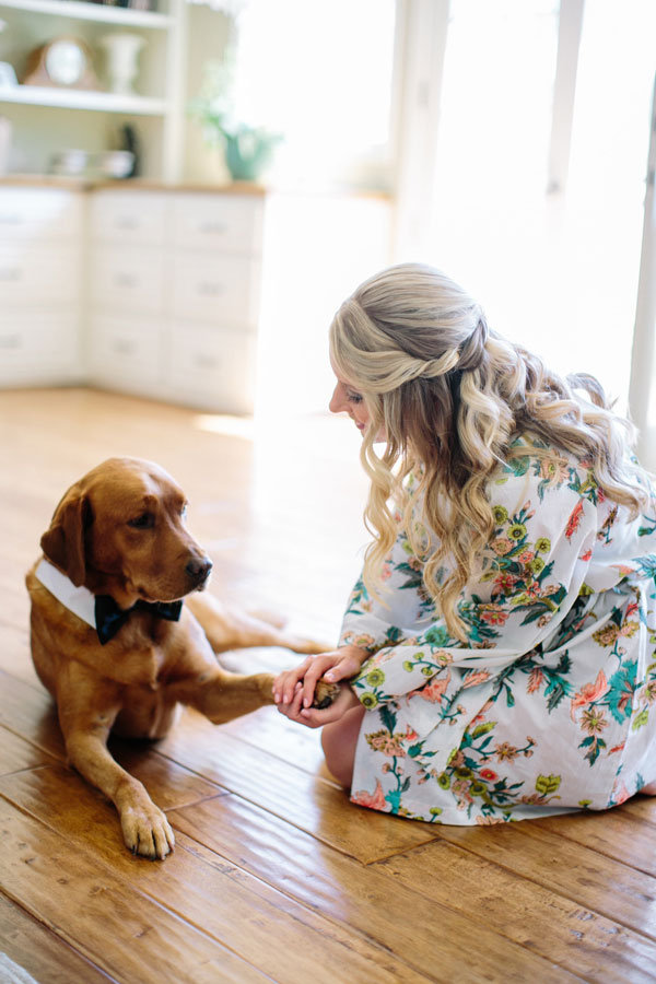 adorable dog with bride