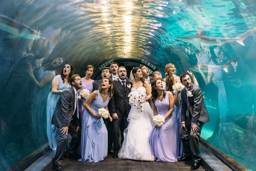 Shark tank aquarium wedding photo