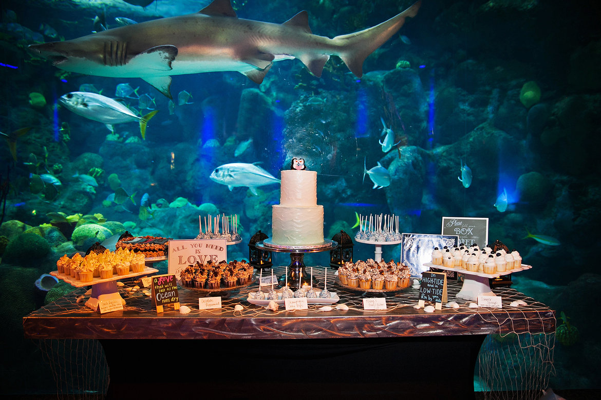 Hochzeit im Aquarium