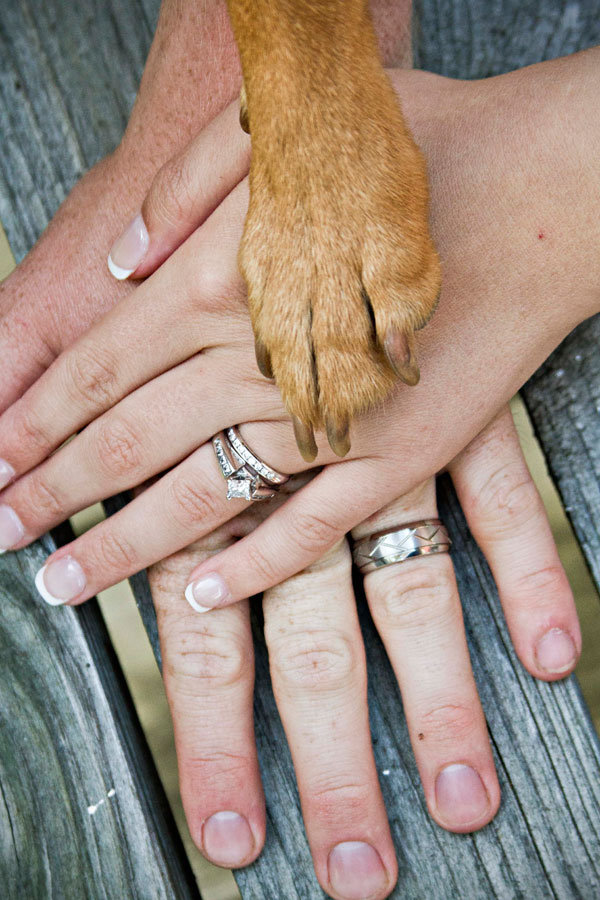 dog in wedding