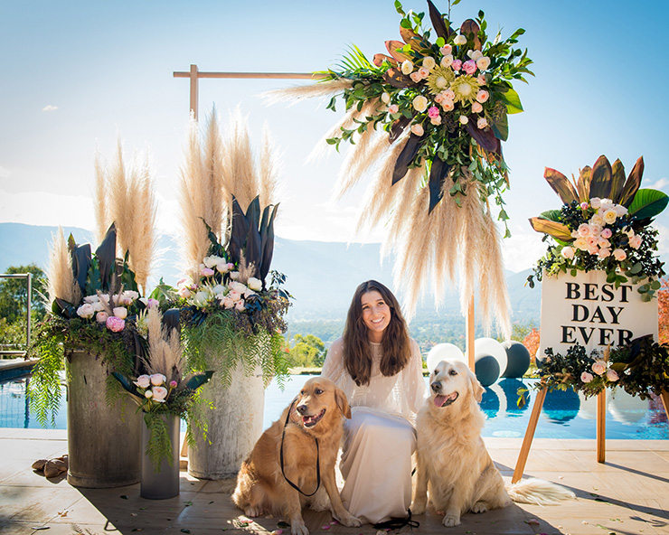 floral wedding backdrop and bride with her dogs