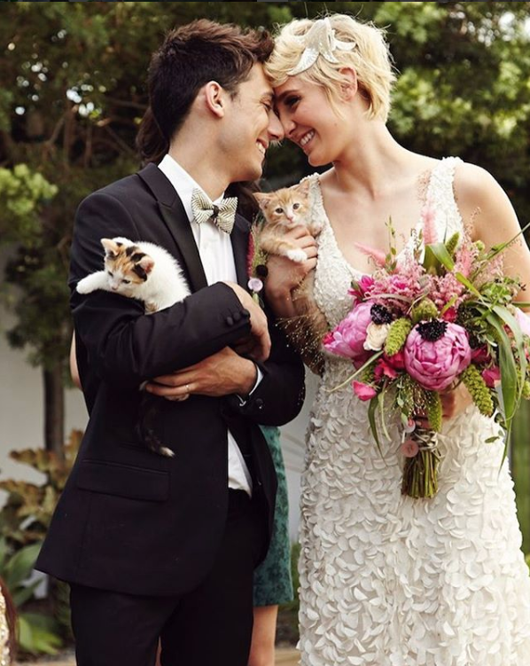 kittens with a bride and groom