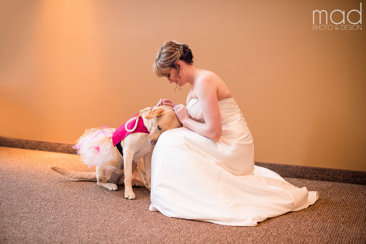 service dog with bride