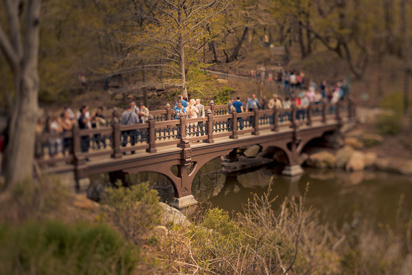 bride and groom on bridge