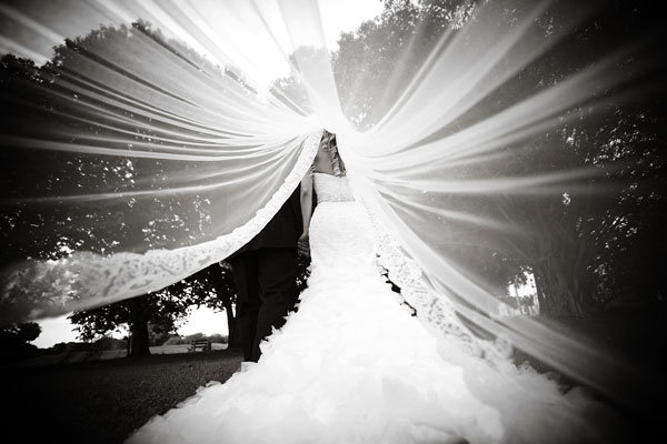 magnifique photo de voile