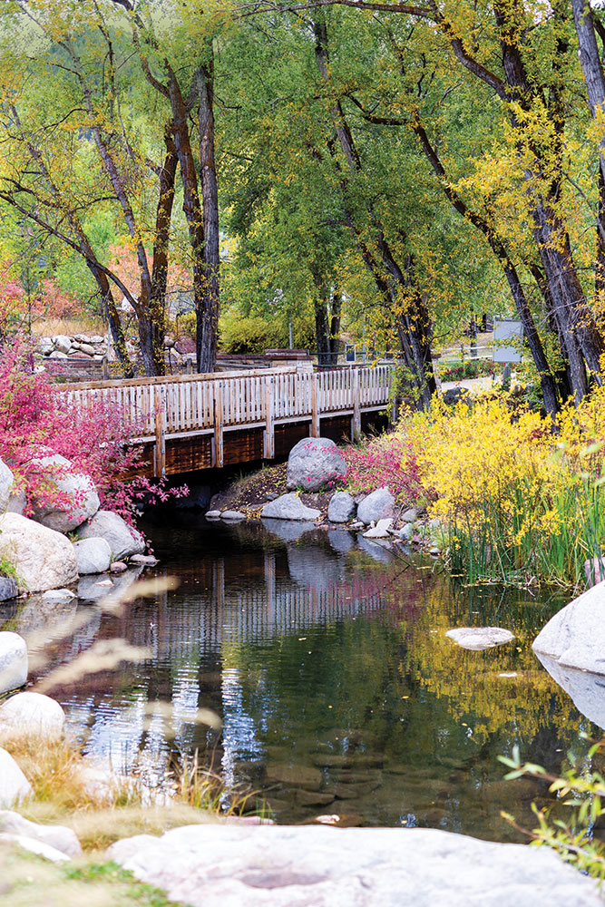 Garden in Aspen Colorado