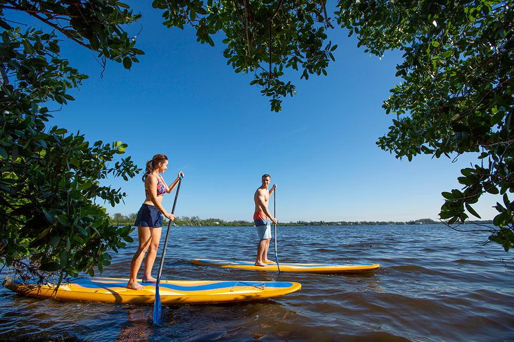 stand up paddleboard