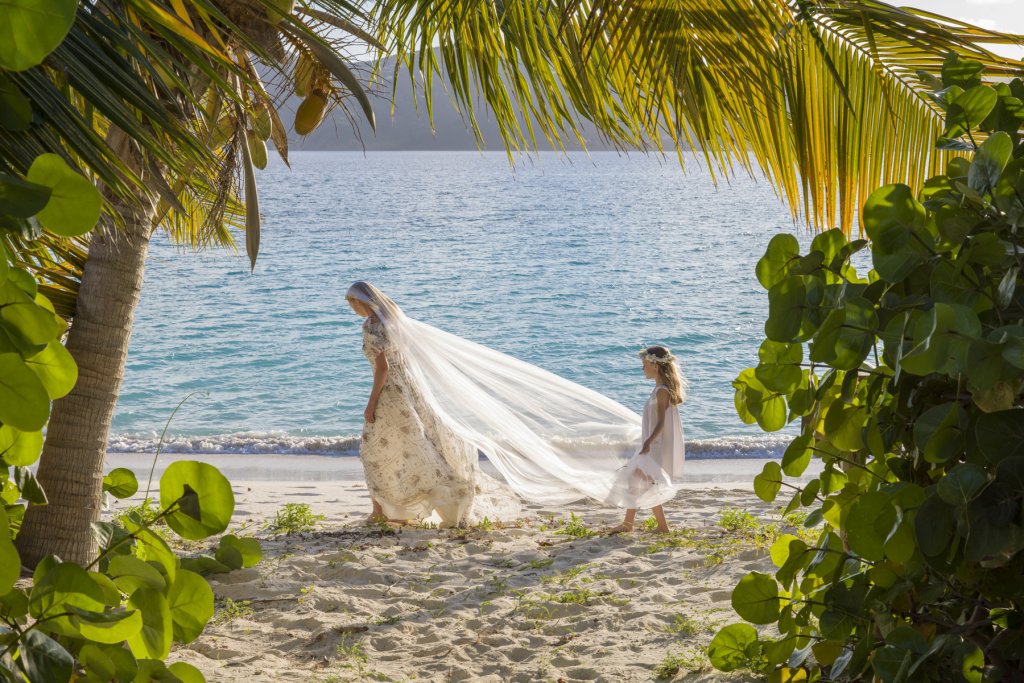 british virgin islands guana island