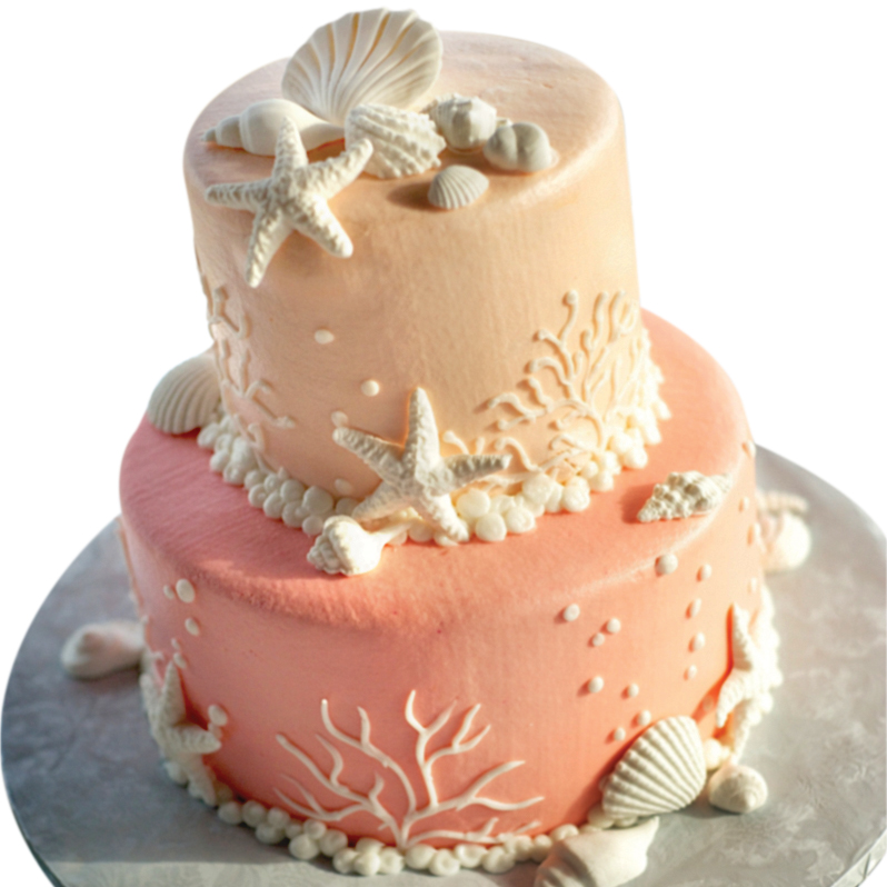 Seashell cake by Sand Petal Weddings