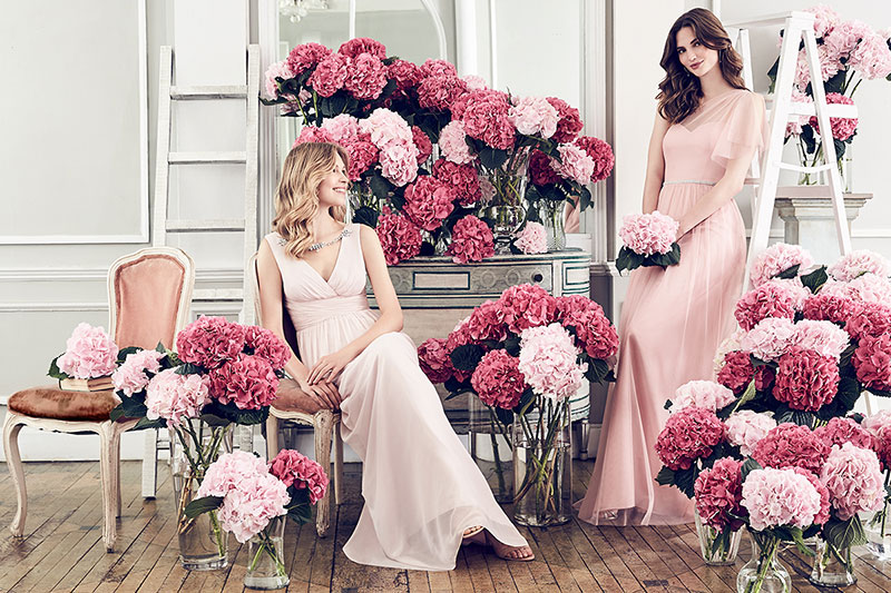 dessy jenny packham bridesmaids