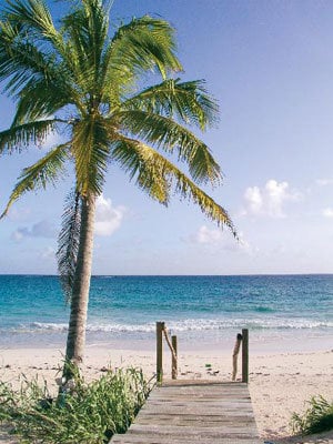 eleuthera honeymoon