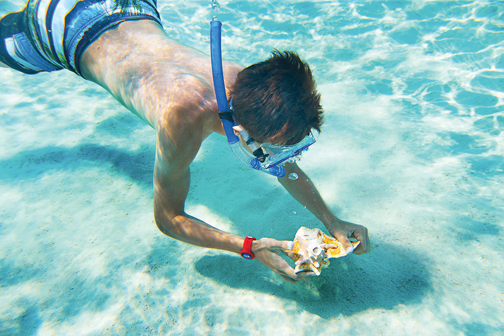 snorkeling