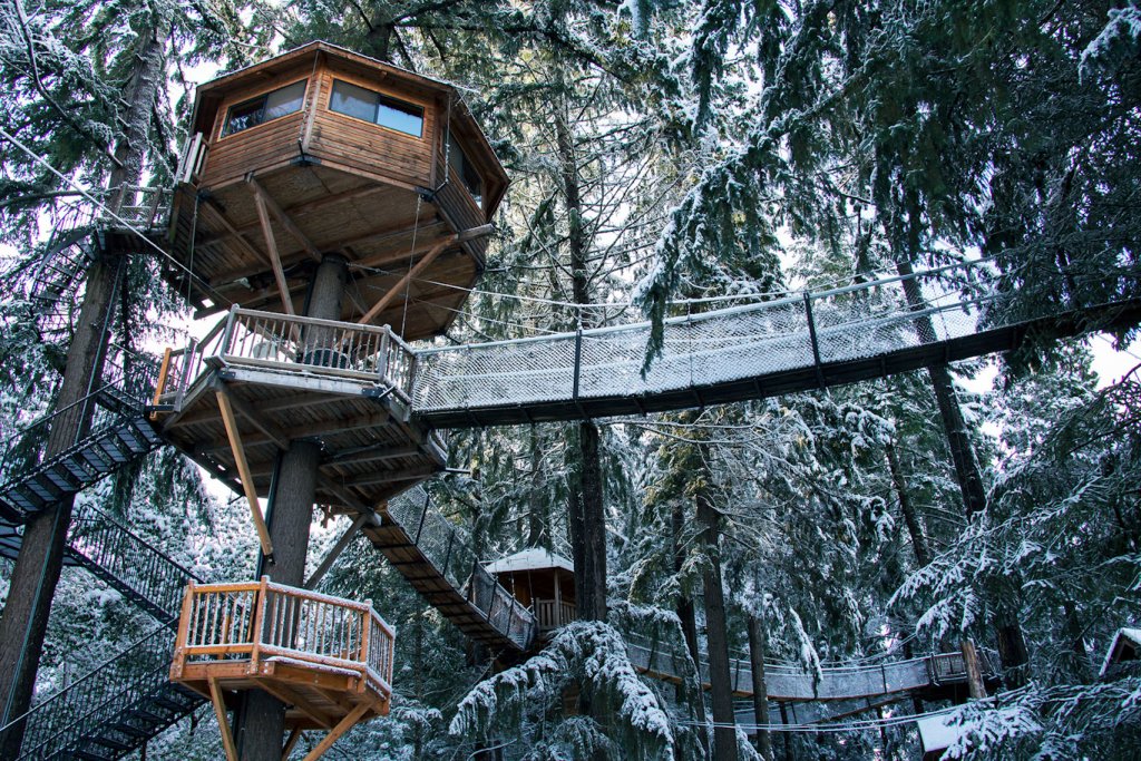 mijestree treehouse treesort airbnb oregon