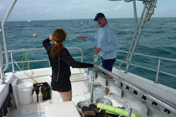 snorkeling off little palm island